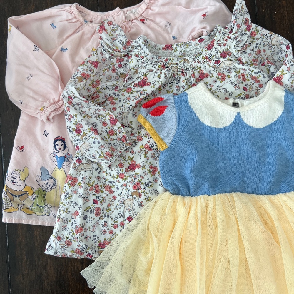 Disney Princess Baby Dresses Bundle from GAP - Pink, Floral, Blue & Yellow